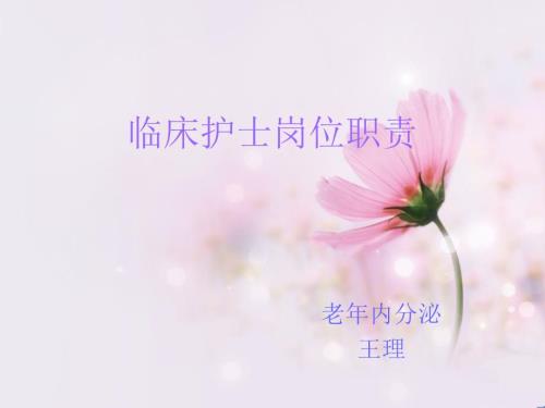 护理岗位职责PPT课件.ppt