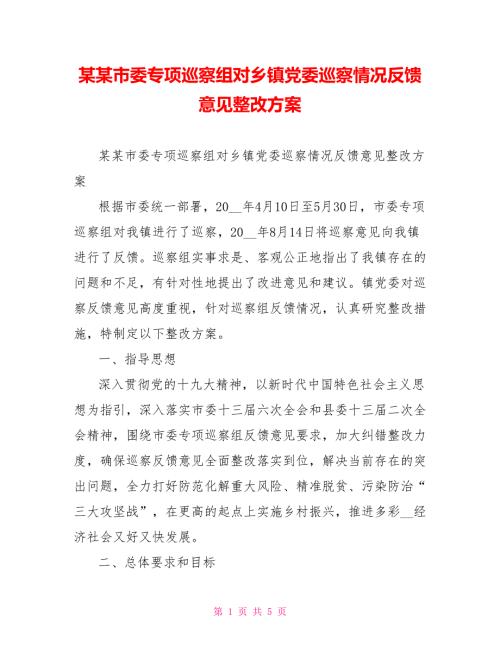 某某市委专项巡察组对乡镇党委巡察情况反馈意见整改方案.doc