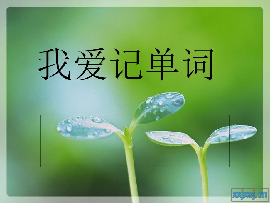 我爱记单词PPT课件.ppt_第1页