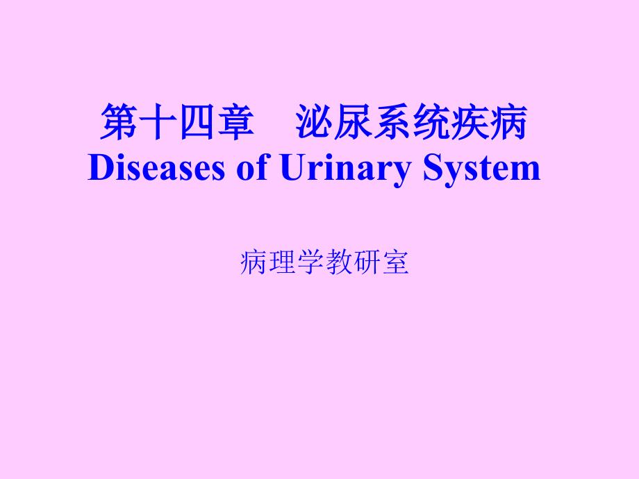 泌尿系统疾病新.ppt_第1页