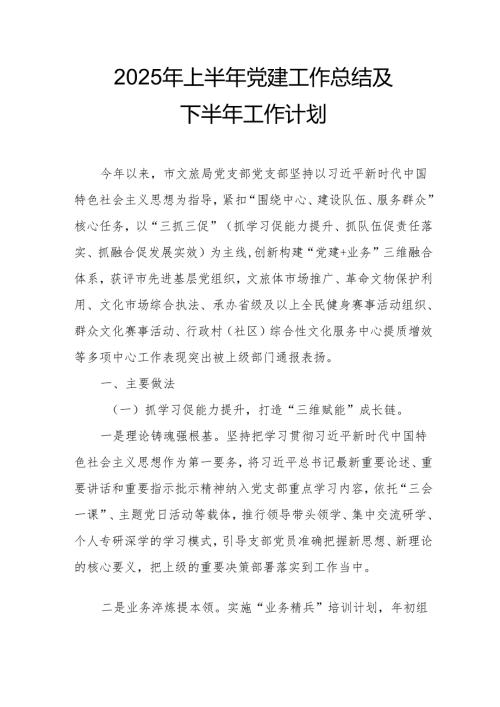 开展2025年上半年党建工作总结及下半年工作计划（汇编3份）.docx