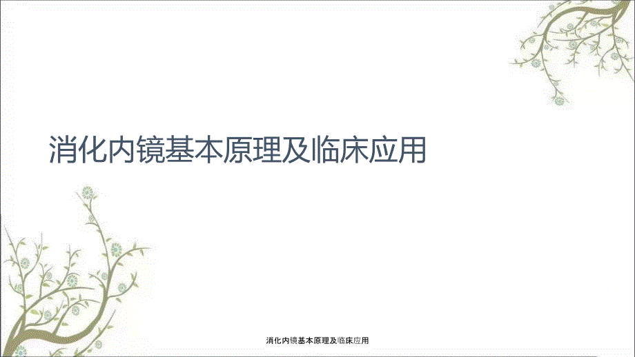 消化内镜基本原理及临床应用.ppt_第1页
