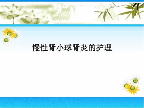 慢性肾小球肾炎护理查房PPT演示课件.ppt
