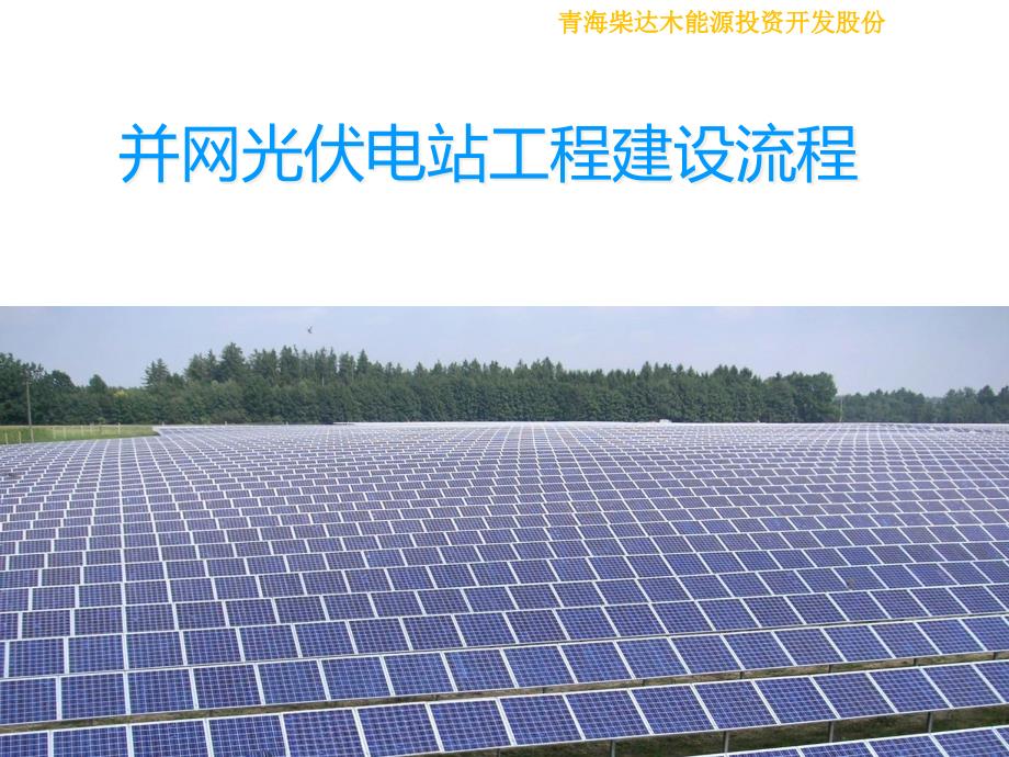并网光伏电站工程建设流程PPTPPT35页.pptx_第1页
