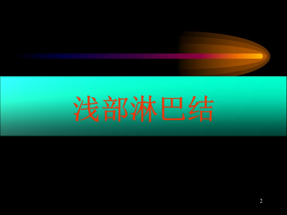 淋巴结超声PPT课件.ppt_第2页