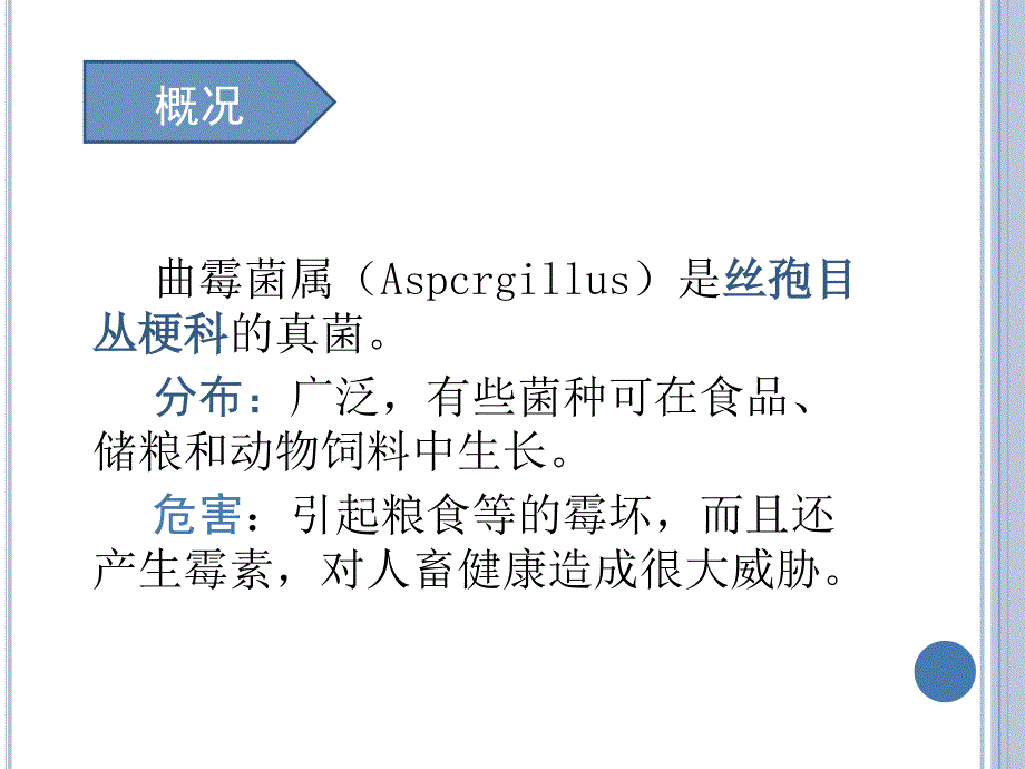 微生物曲霉菌属PPT课件.ppt_第2页