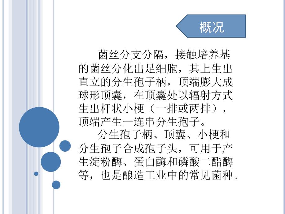 微生物曲霉菌属PPT课件.ppt_第3页