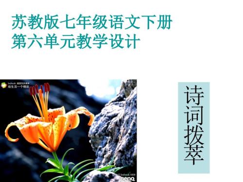 整体教学设计PPT课件.ppt
