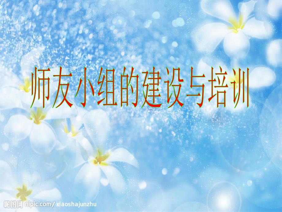 师友小组的建设和培训.ppt_第1页