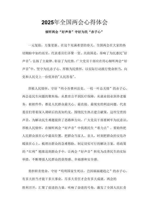 班子2025年学习全国两会发言稿6个.docx