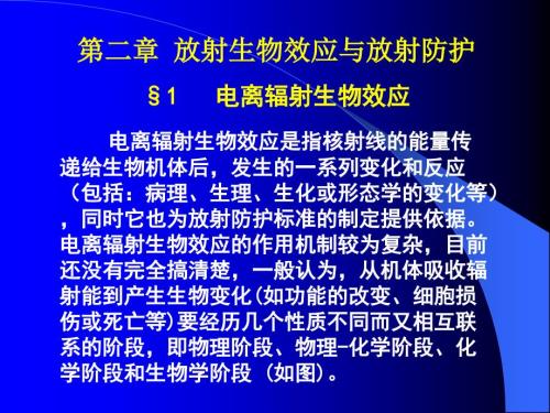 放射生物效应与放射防护.ppt