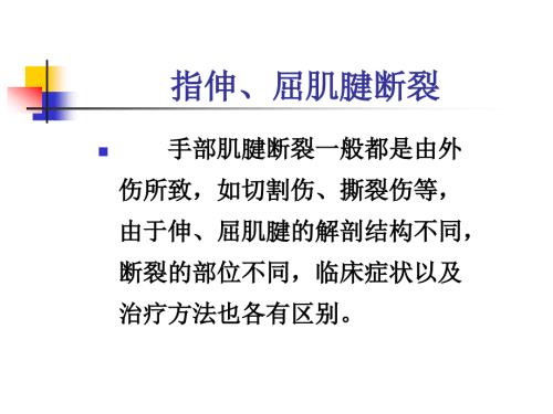 指伸屈肌腱断裂ppt课件.ppt