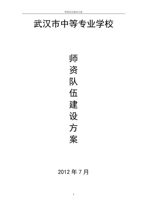 师资队伍建设方案.doc
