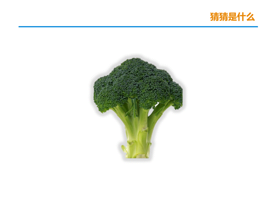 幼儿园家长进课堂讲课PPT小朋友吃饭.ppt_第3页