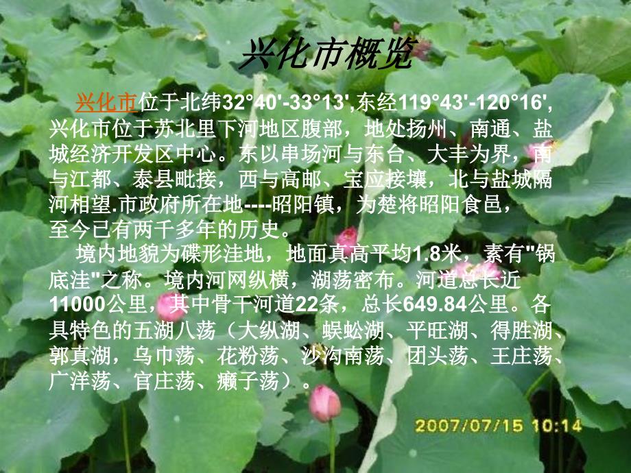 我的家乡兴化PPT课件.ppt_第3页