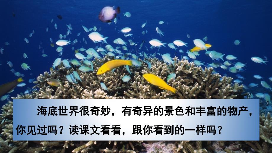 最新部编版小学三年级语文下册23海底世界完美版PPT课件.ppt_第3页