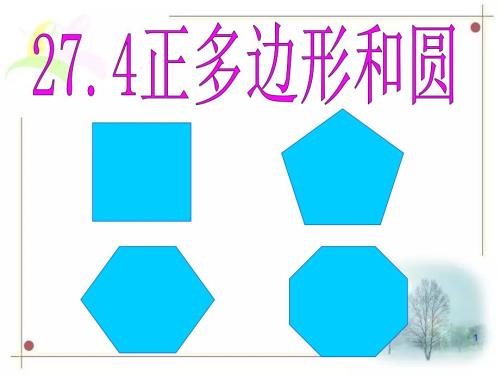 正多边形和圆华师版教学ppt课件.ppt