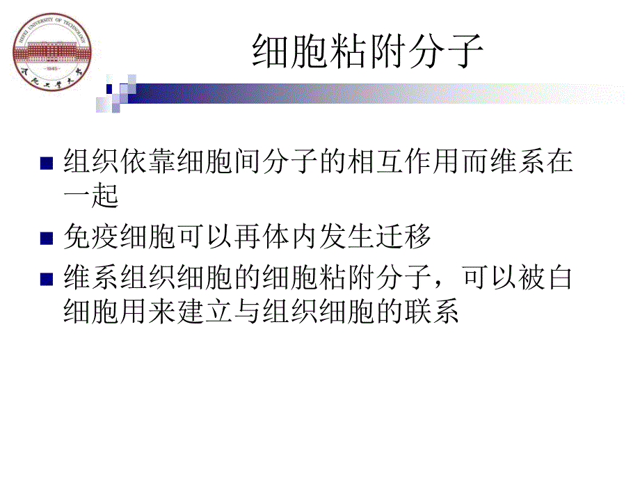 白细胞的活化与迁移.ppt_第3页