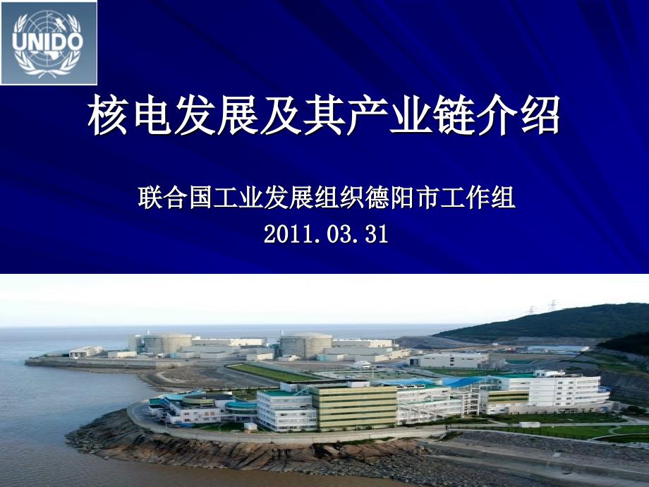 核电介绍.ppt.ppt_第1页