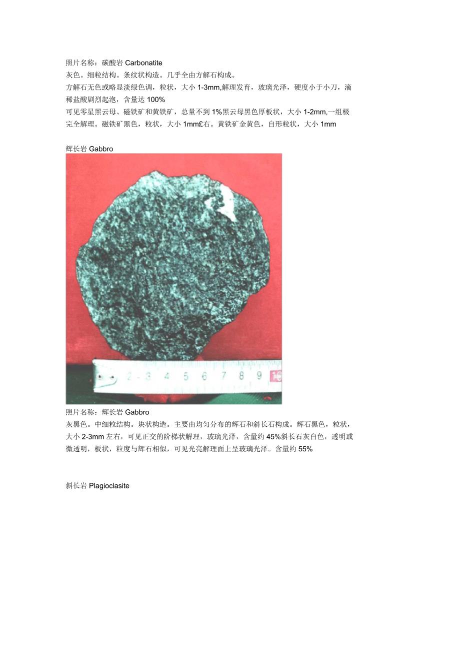 岩浆岩手标本详细描述.docx_第3页