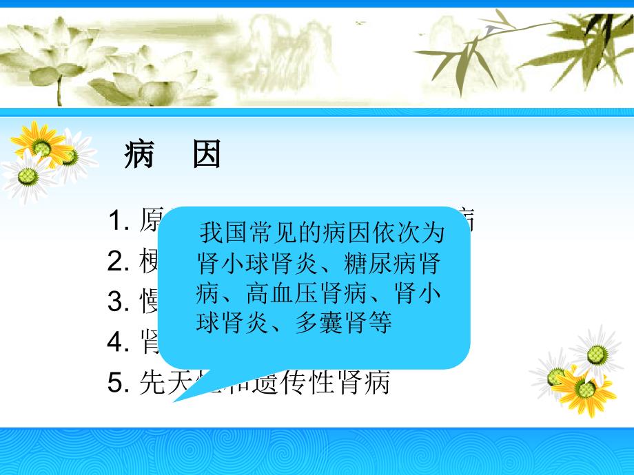 慢性肾衰竭的护理查房.ppt_第3页