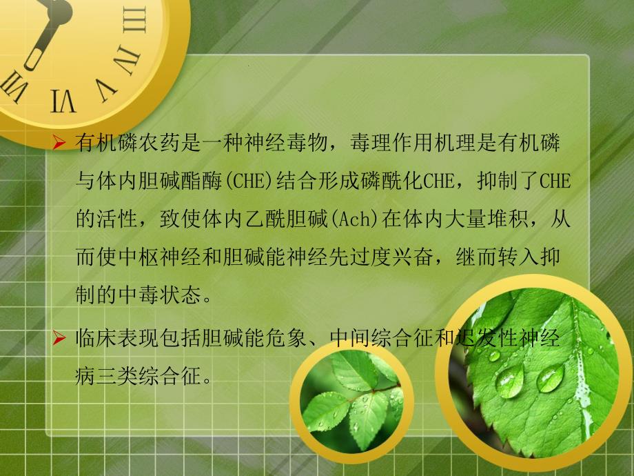 有机磷农药中毒.ppt_第3页