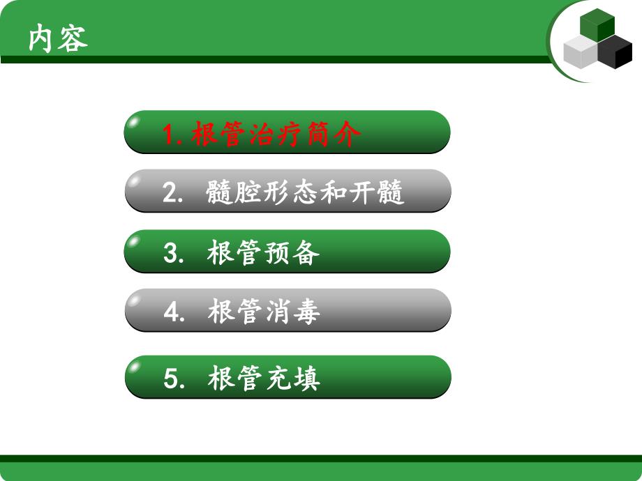 根管治疗课件.ppt_第2页