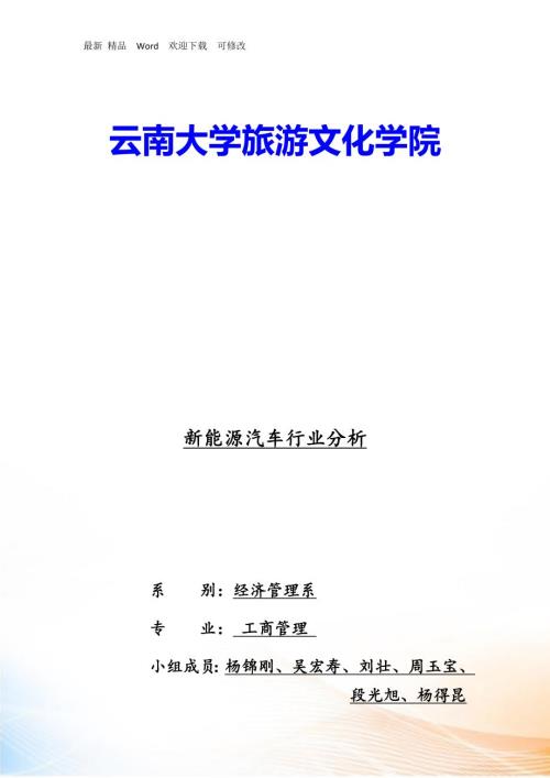 新能源汽车行业分析报告.docx