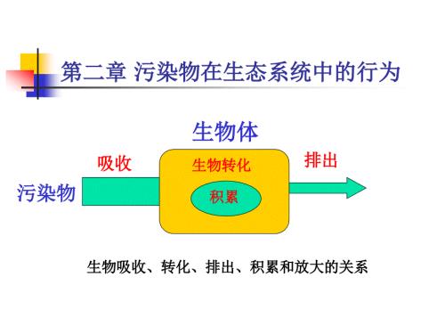 污染物在生态系统中的行为.ppt