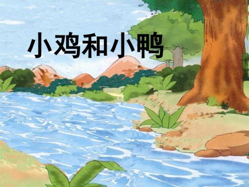 小鸡和小鸭PPT课件.ppt