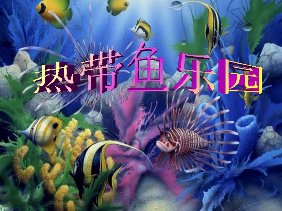 热带鱼乐园PPT课件.ppt_第1页