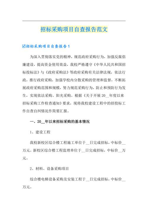 招标采购项目自查报告范文.doc