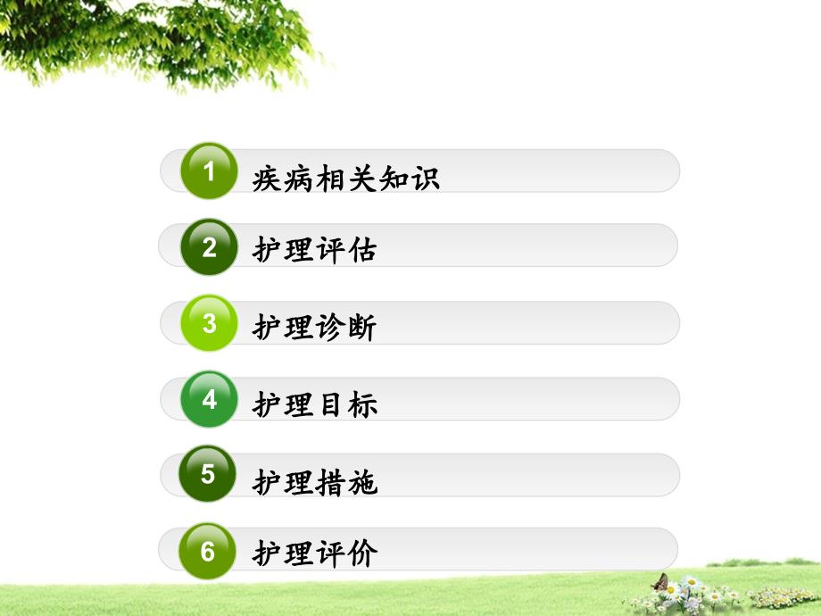 急诊高血压危象的护理查房.ppt_第2页