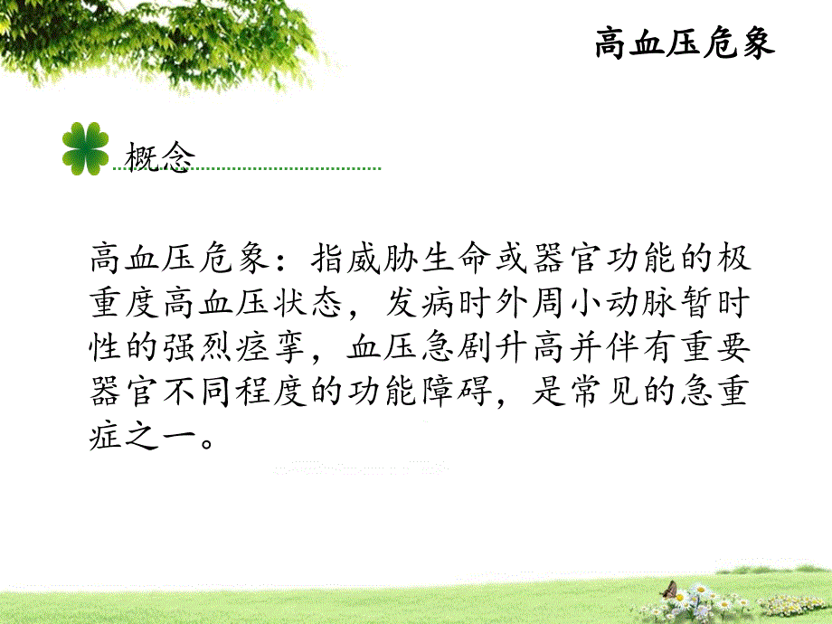 急诊高血压危象的护理查房.ppt_第3页