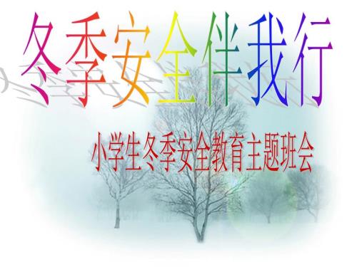 小学生冬季安全教育主题班会.ppt