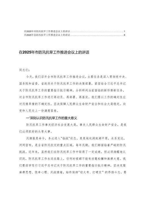 2篇 在2025年防汛抗旱工作推进会议上的讲话.docx