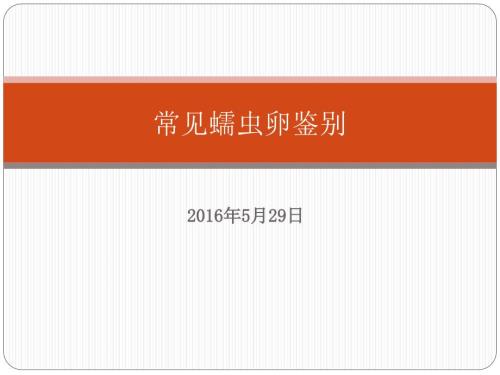 常见蠕虫卵鉴别.pptx