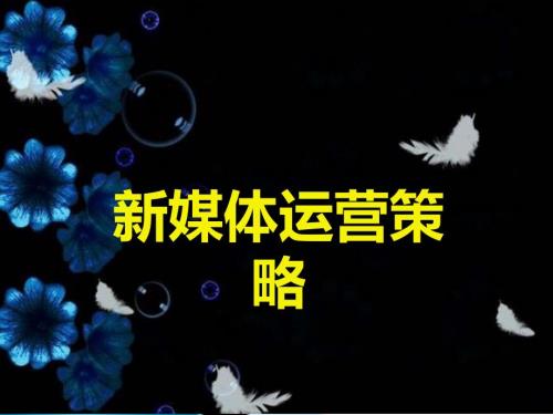 新媒体运营整体策划方案运营策略初稿ppt.ppt