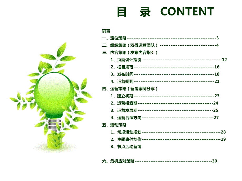 新媒体运营整体策划方案运营策略初稿ppt.ppt_第2页