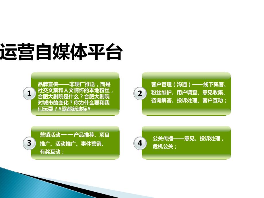 新媒体运营整体策划方案运营策略初稿ppt.ppt_第3页