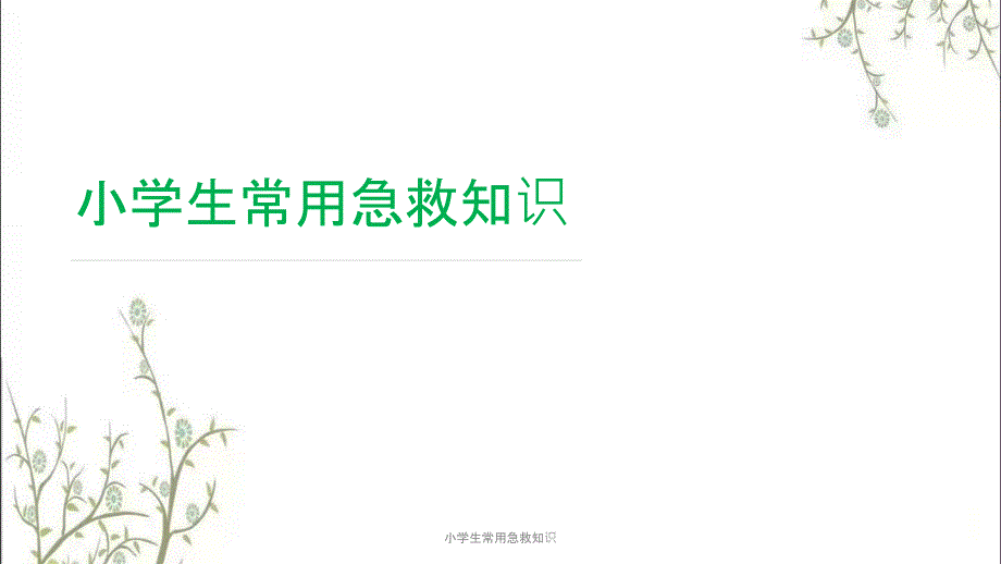 小学生常用急救知识.pptx_第1页