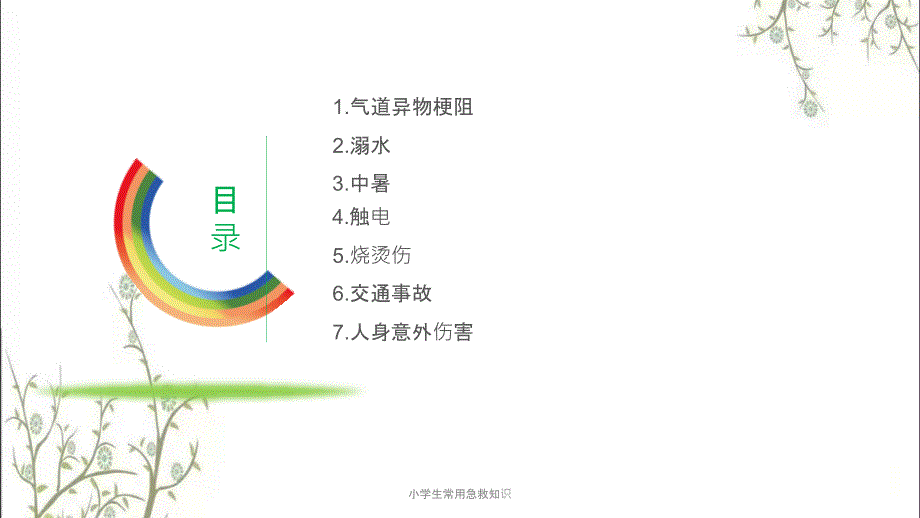 小学生常用急救知识.pptx_第2页