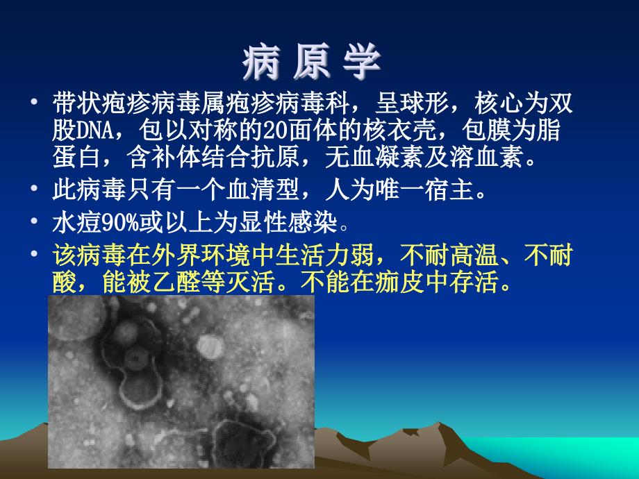 水痘患者的护理PPT课件.ppt_第3页