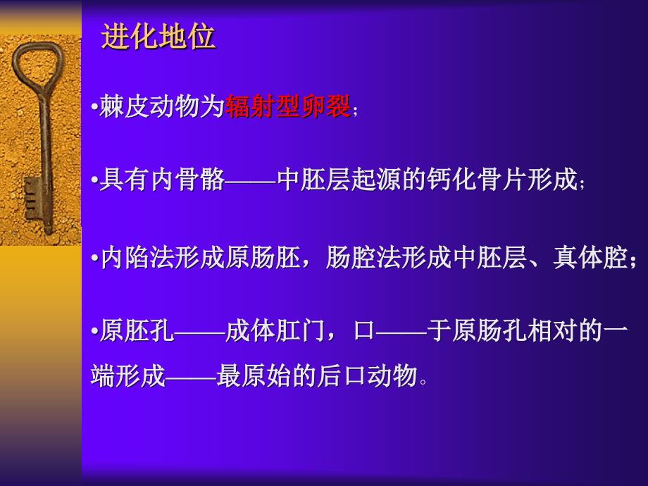 棘皮动物门PPT课件.ppt_第2页