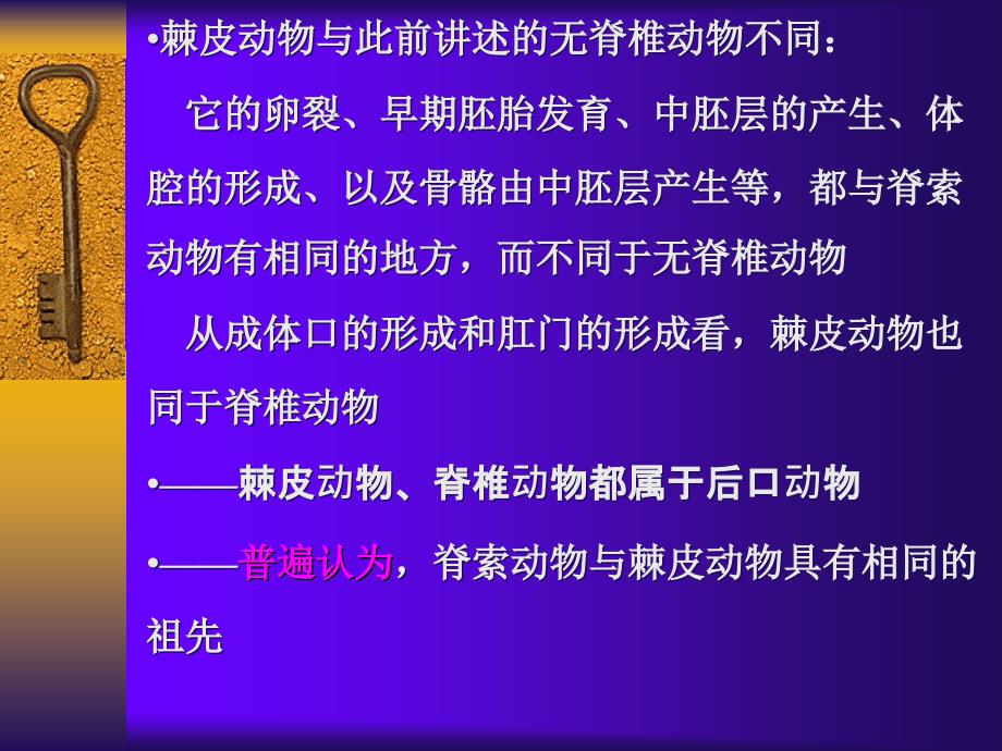 棘皮动物门PPT课件.ppt_第3页
