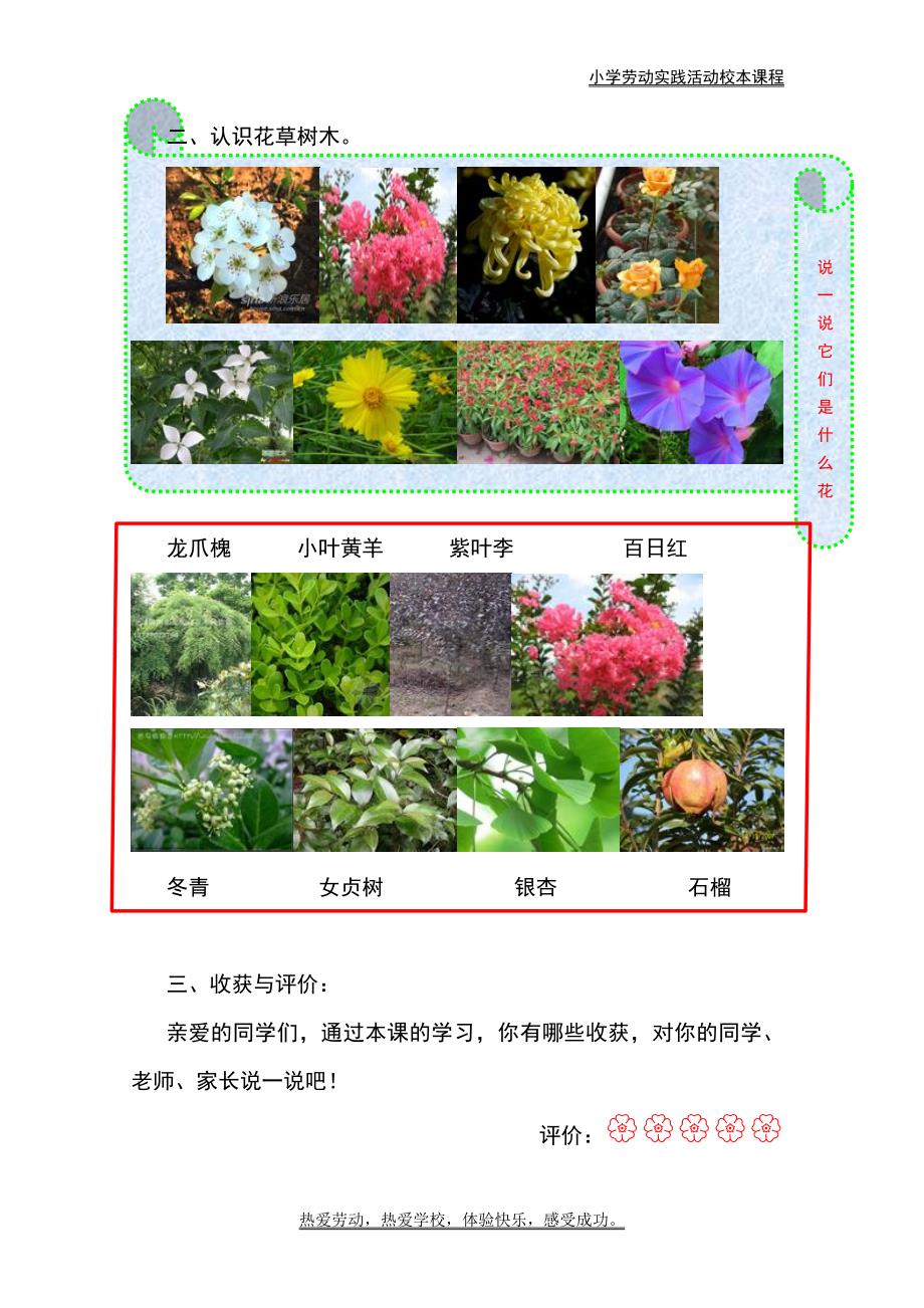 小学劳动实践活动校本课程.doc_第3页
