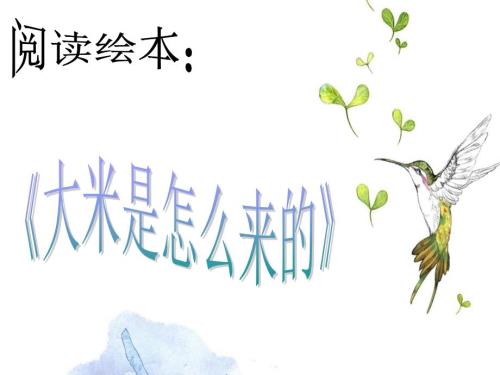 故事绘本大米是怎么来的.ppt