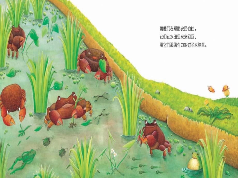 故事绘本大米是怎么来的.ppt_第3页