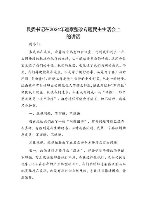 党的建设交流发言材料和专题民主生活会上的讲话（精选两篇合辑）.docx