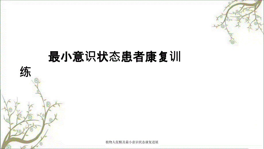 植物人促醒及最小意识状态康复进展.ppt_第1页